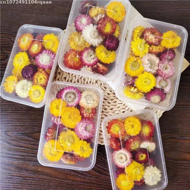 100% Natural Dried Flowers Bra - Candle Making Material Wholesale review and price