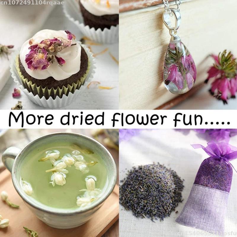 100% Natural Dried Flowers Bra - Candle Making Material Wholesale review and price